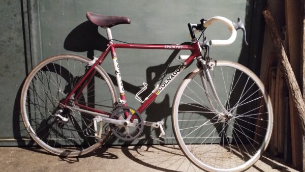 Bici COLNAGO - immagine 5